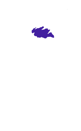 BPRS logo